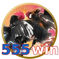 555win